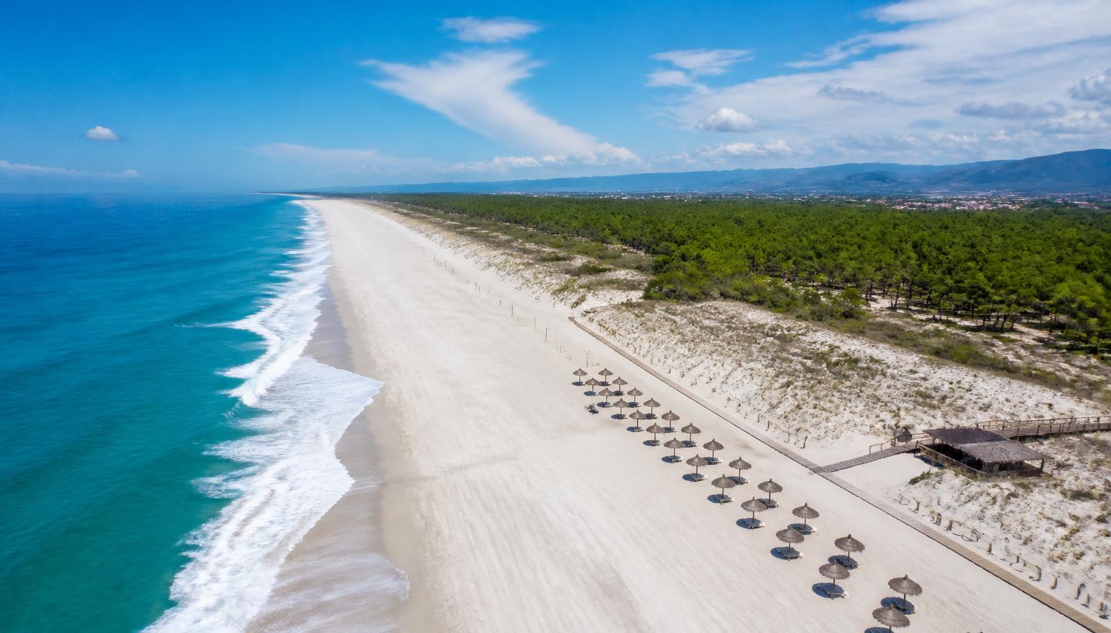 A wide empty sand beach backed by dunes and pine forest on the Alentejo coast